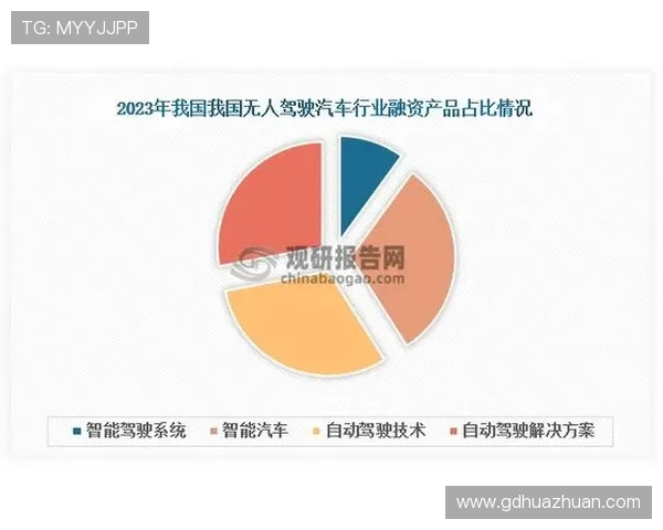深圳极限运动队的管理与发展探讨：热点现象与未来趋势分析