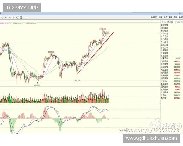深圳网球队防守策略揭秘：深度分析与实战技巧探讨